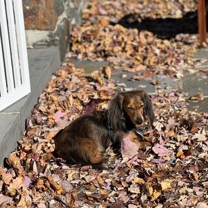 Meet your Posher, Katherine
